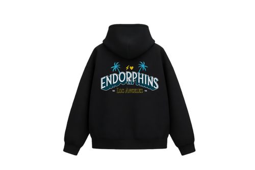 Recovery Hoodie | LA 2026